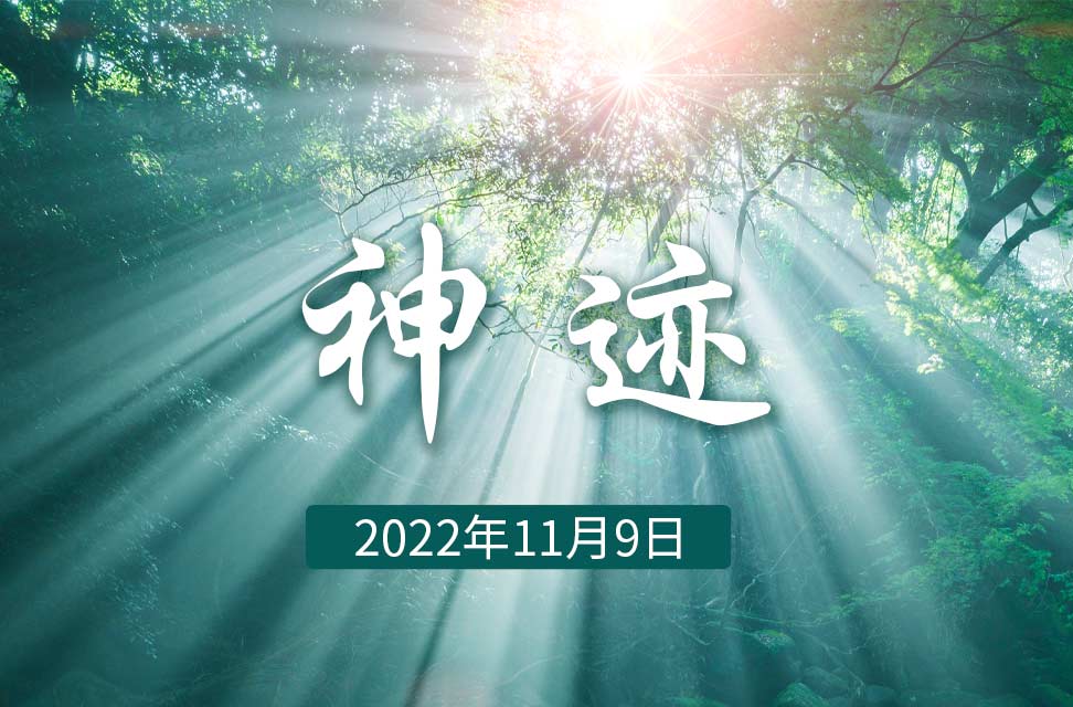 2022年11月9日—神迹