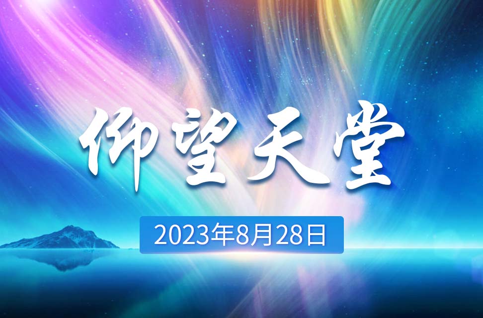 2023年8月28日—仰望天堂